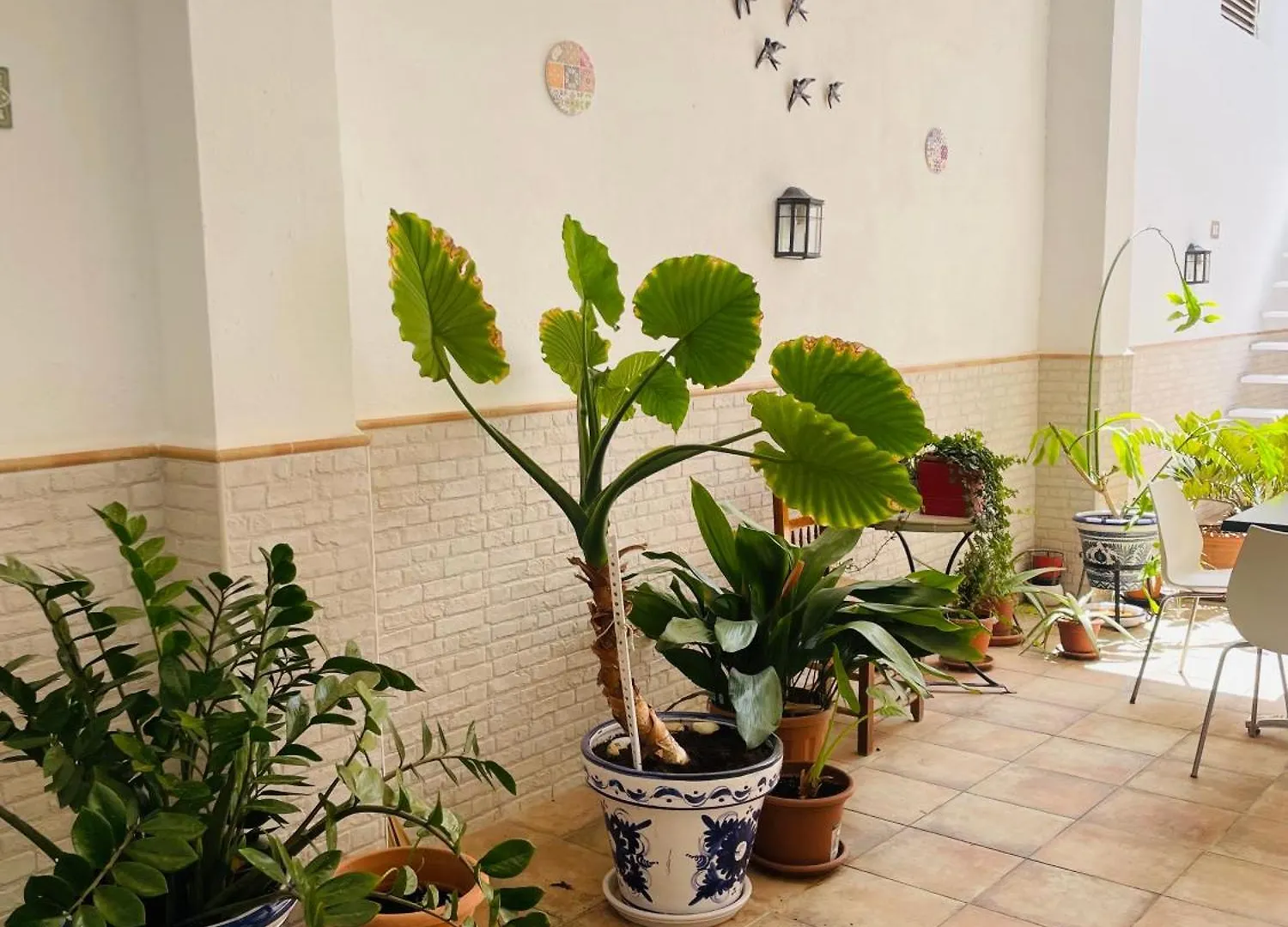 Patio De Los Barberos Valle de Abdalagis Apartment